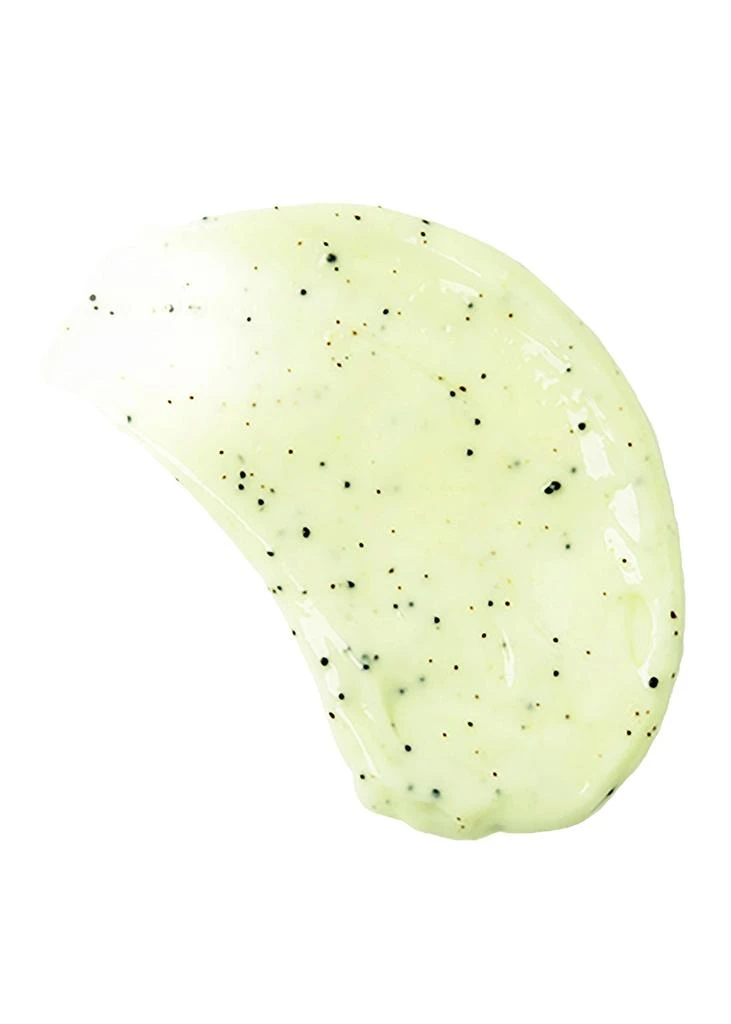 COCO AND EVE Like a Virgin Deep Clean Scalp Scrub 5