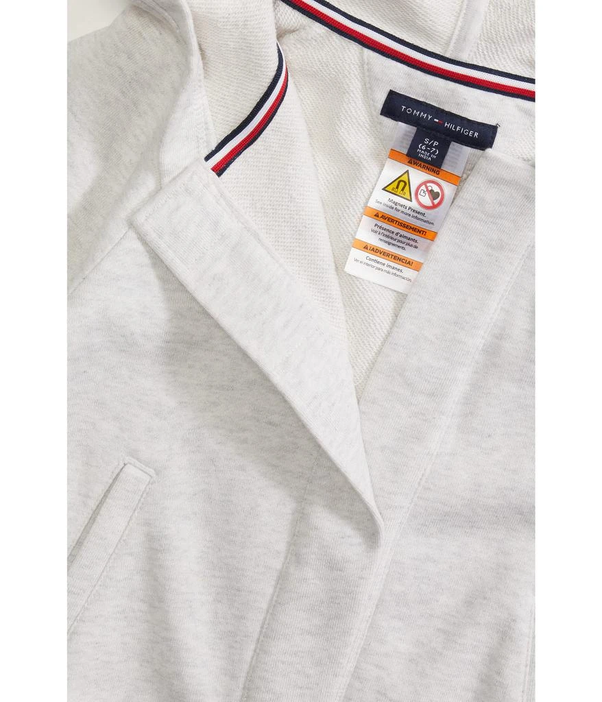 Tommy Hilfiger Adaptive Logo Hoodie (Little Kids/Big Kids) 2