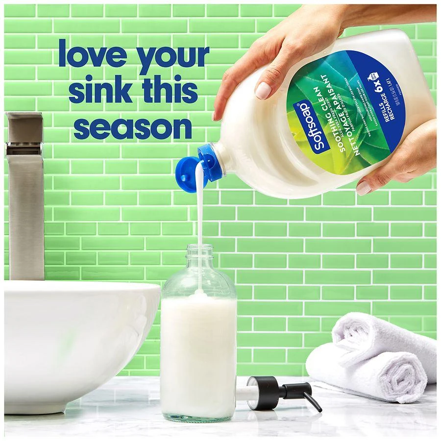 Softsoap Liquid Hand Soap Refill Aloe Vera Fresh 4