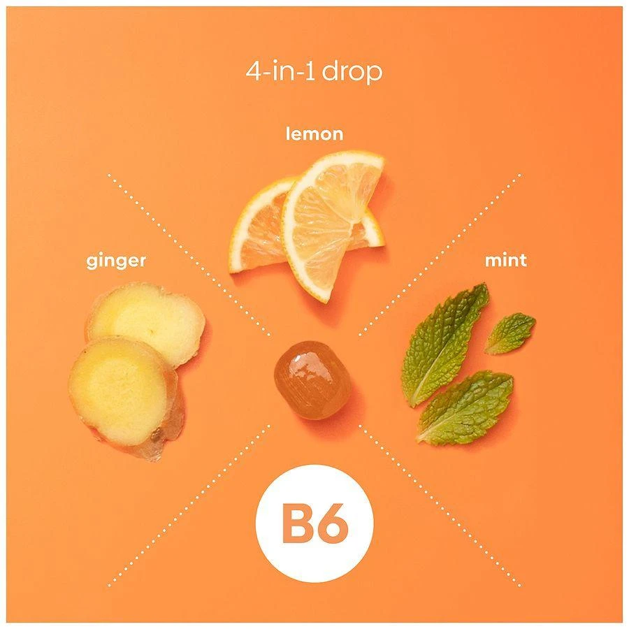 UpSpring Stomach Settle Nausea Relief  Drops Lemon, Ginger, Honey 3