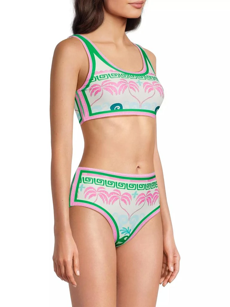 Beach Riot Francis Palm Tree Tankini Top 4