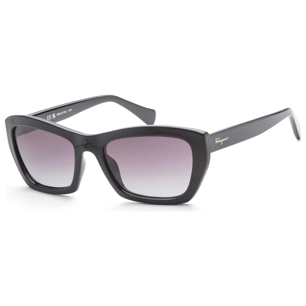 Salvatore Ferragamo Ferragamo Women
s Sunglasses SF958S-001