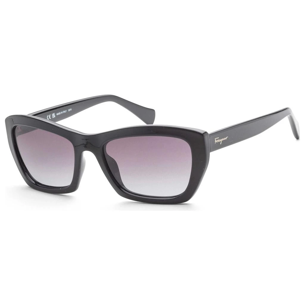 Salvatore Ferragamo Ferragamo Women
s Sunglasses SF958S-001 1