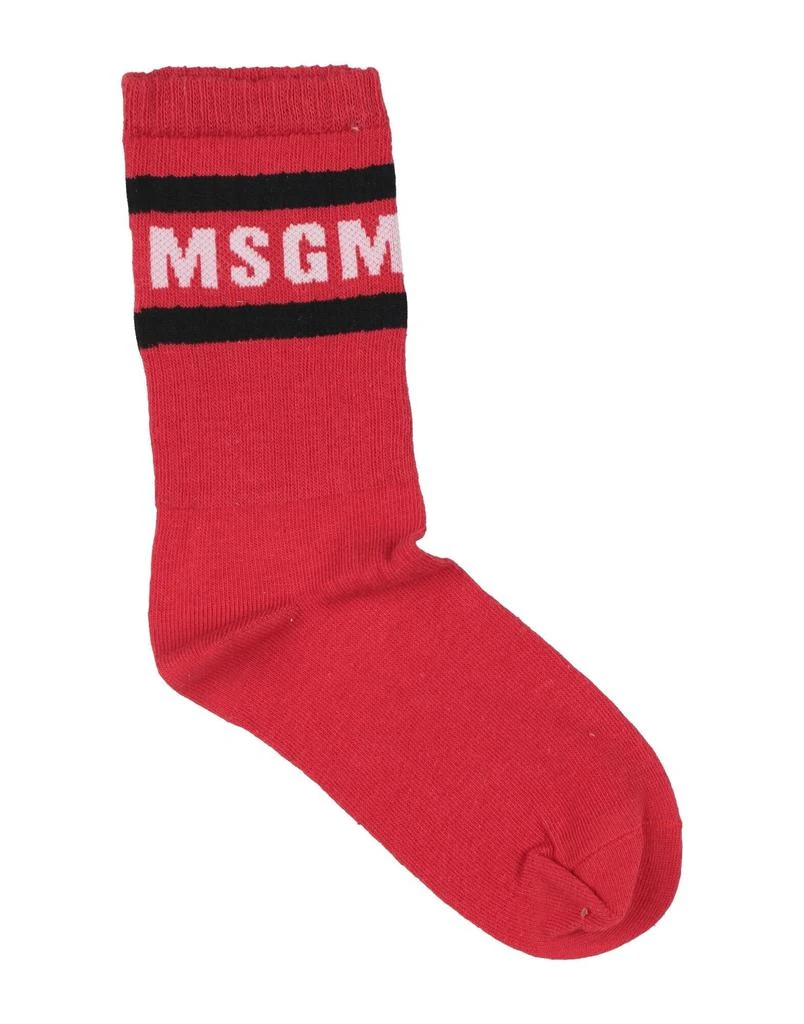 MSGM Socks & tights