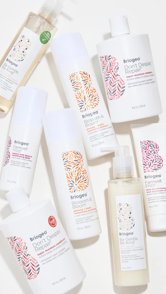Briogeo Farewell Frizz Blow Dry Perfection & Heat Protectant Crème 6