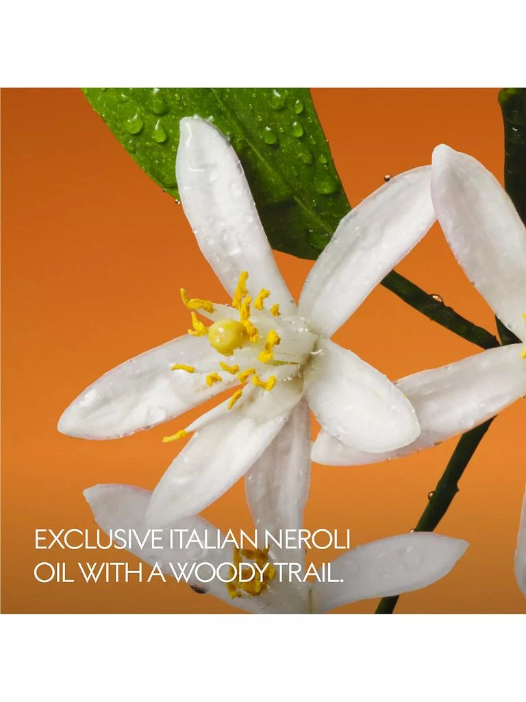 Gucci The Alchemist's Garden Fiori di Neroli Eau de Parfum 4
