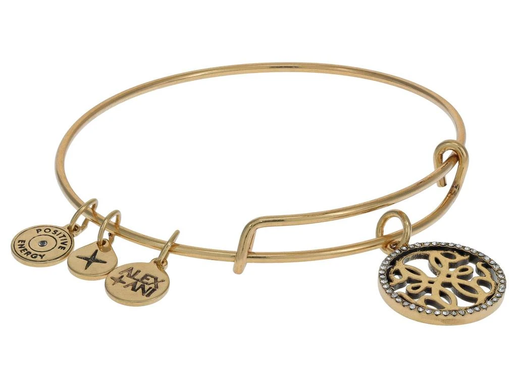 Alex and Ani Path of Symbols, Path of Life Bracelet 1