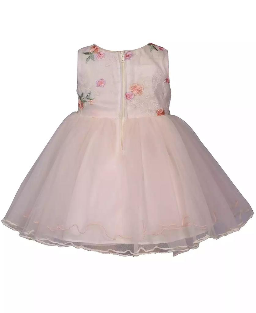 Bonnie Baby Baby Girls Embroidered Ballerina Dress