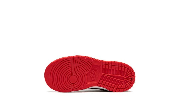 NIKE Nike NIKE DUNK LOW (TDE) 6