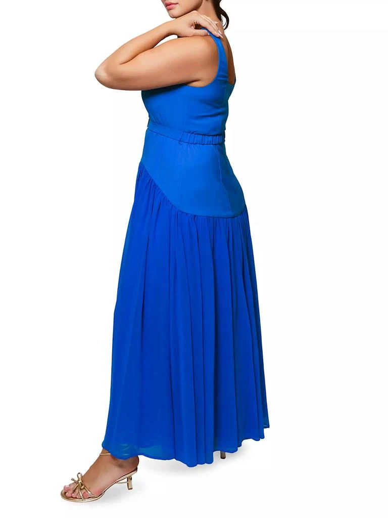 Hutch Ridge Drop-Waist Maxi Dress 9