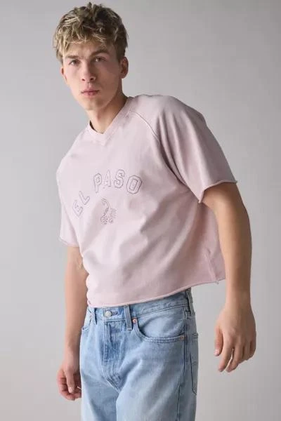 BDG BDG Perry Embroidered Cropped Short Sleeve Sweatshirt