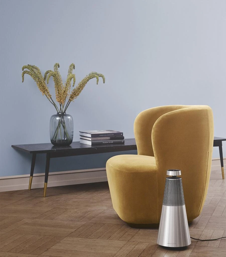 Bang & Olufsen Beosound 2 3rd Generation Speaker 9