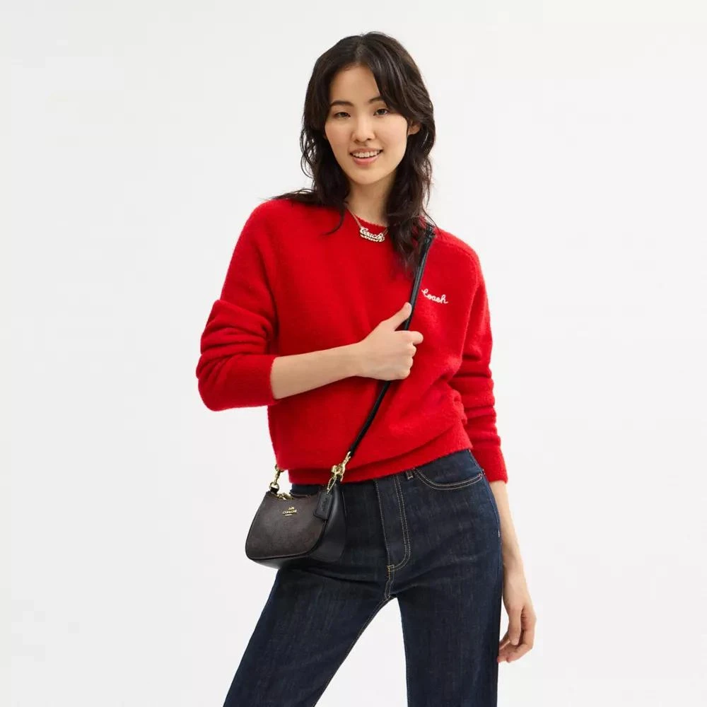 Coach Teri Mini Crossbody Bag In Signature Canvas 2