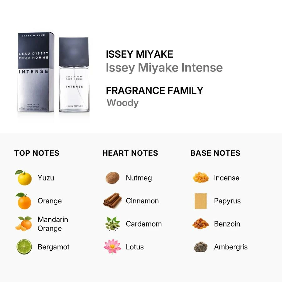 Issey Miyake Issey Miyake Issey Miyake Intense Mens EDT 3