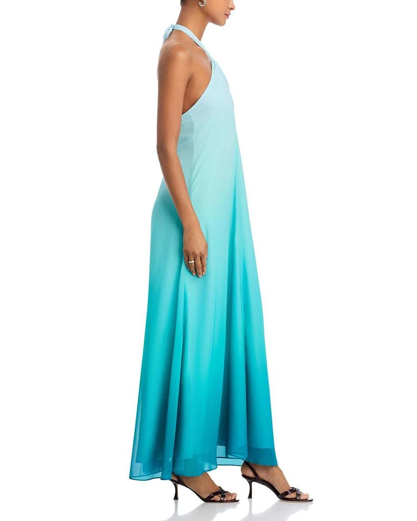 Line & Dot Aden Ombré Maxi Dress 5