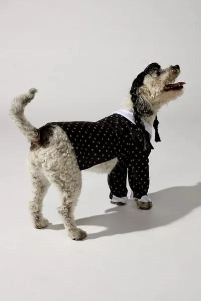 Urban Outfitters Wednesday Addams Pet Costume 3