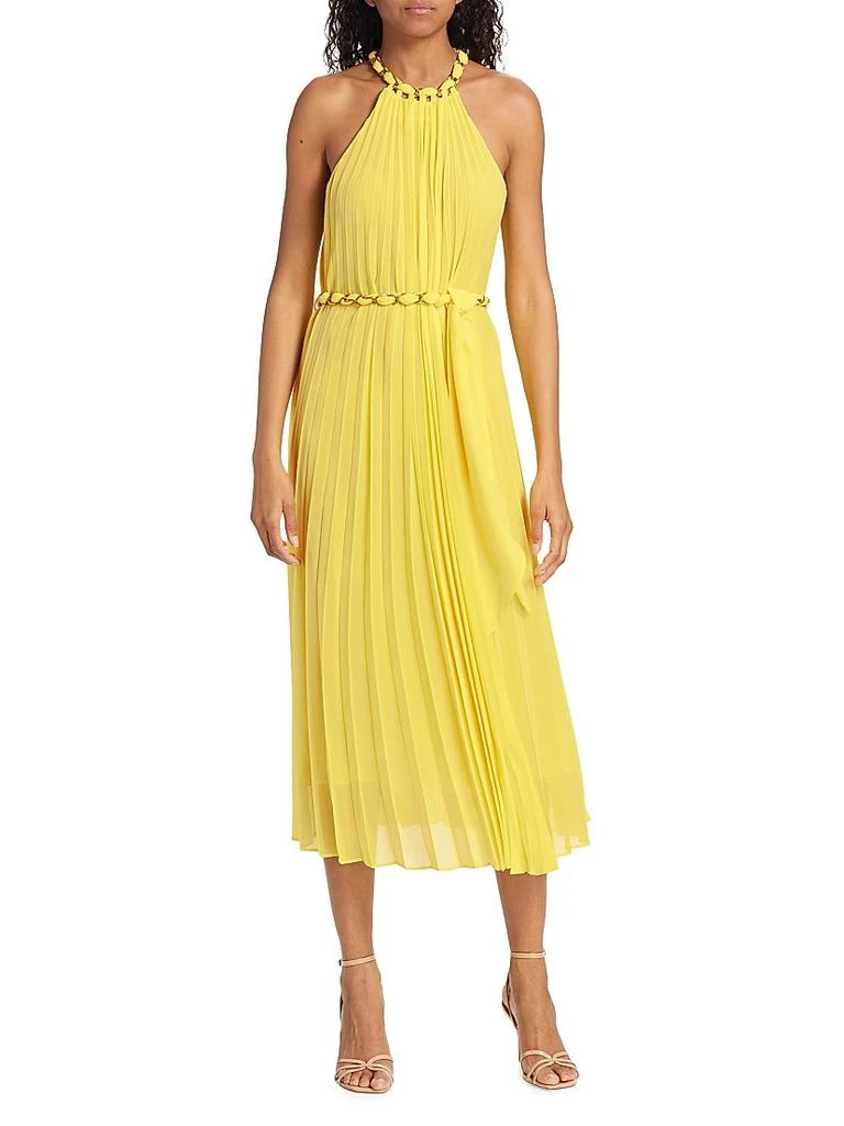 Zimmermann Sunray Pleated Dress 3