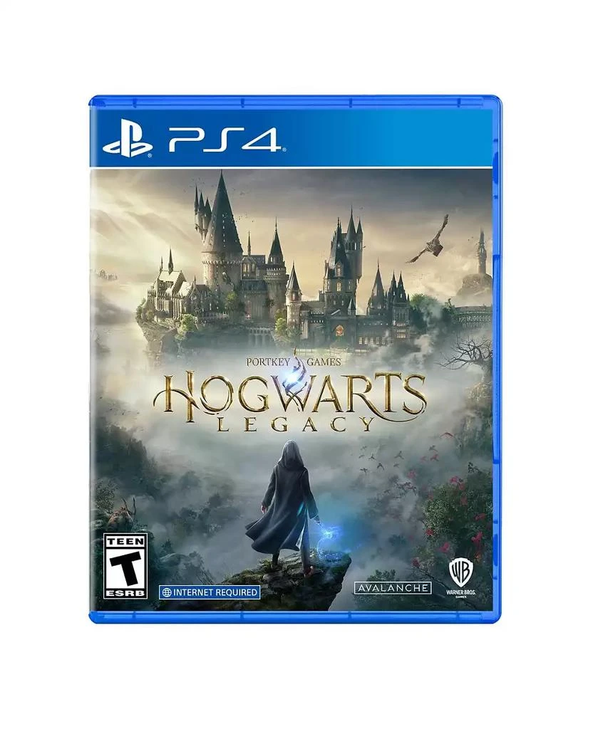 Warner Bros Warner Home Video Games  Hogwarts Legacy PlayStation 4 Game