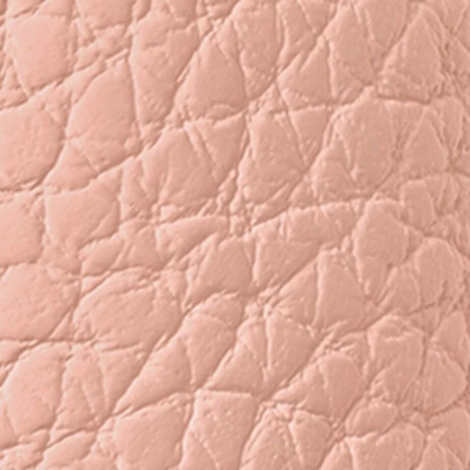Guerlain Leather Rouge G Lipstick Case 7