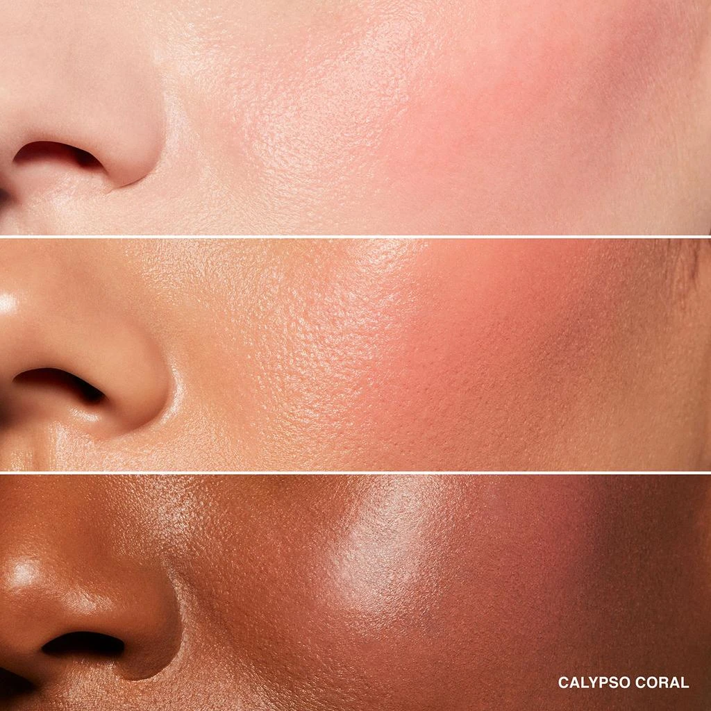 Bobbi Brown Pot Rouge For Lips and Cheeks 8