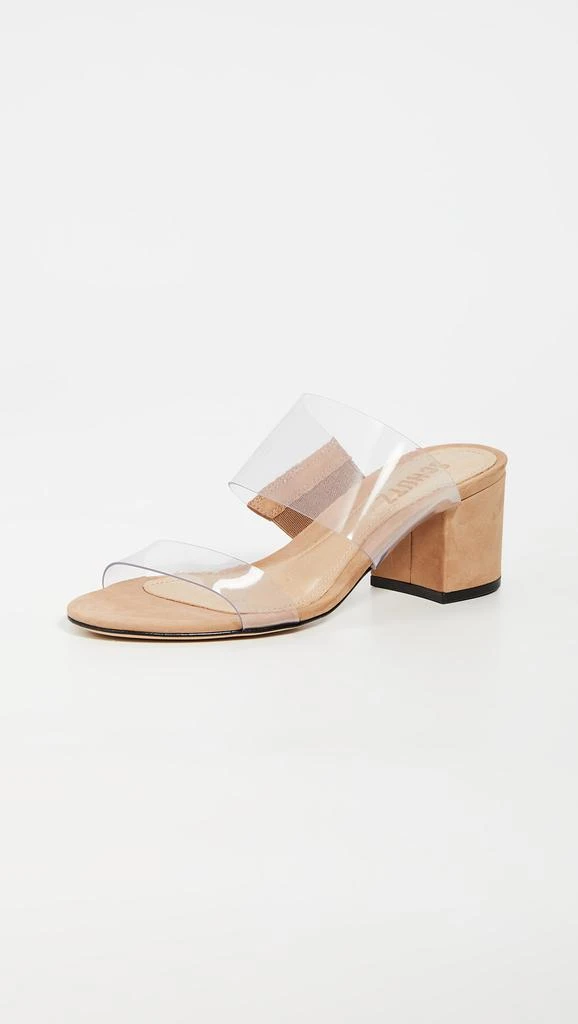 Schutz Victorie Slides 1
