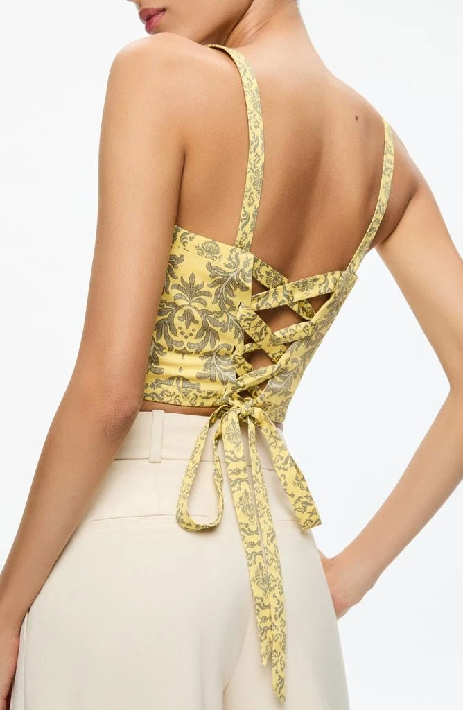 Alice + Olivia Sasha Paisley Lace-Up Crop Top 3