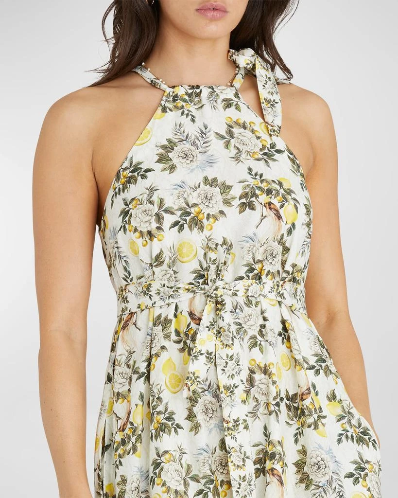 Aqua Blu Australia Clementine Zoe Halter Maxi Dress - Dresses & Skirts -  Free Shipping - BeyondStyle