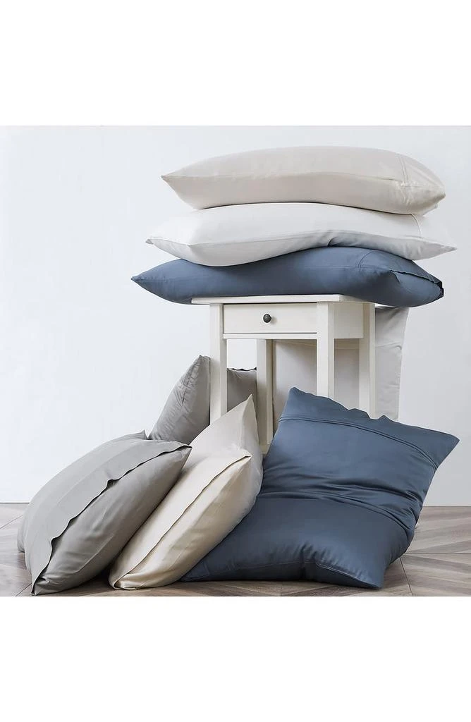 SOUTHSHORE FINE LINENS 2-Piece Pillow Set