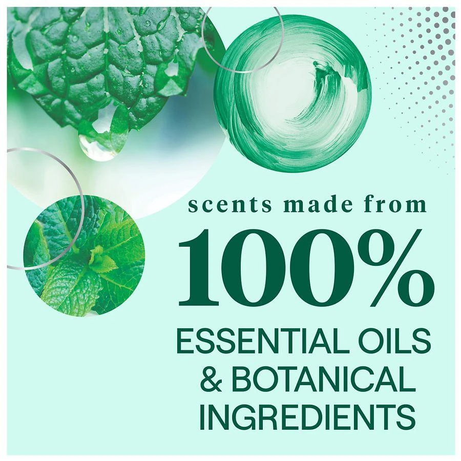Seventh Generation Surface Wipes Garden Mint 5
