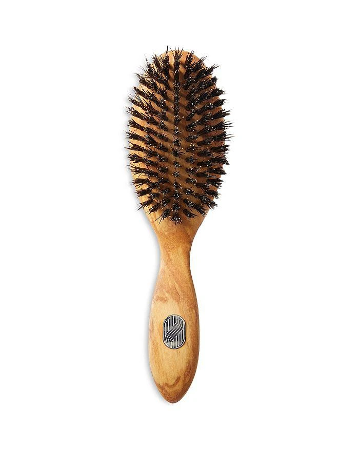 Altesse Studio Prestige Repair & Shine Brush - All Hair Types 1
