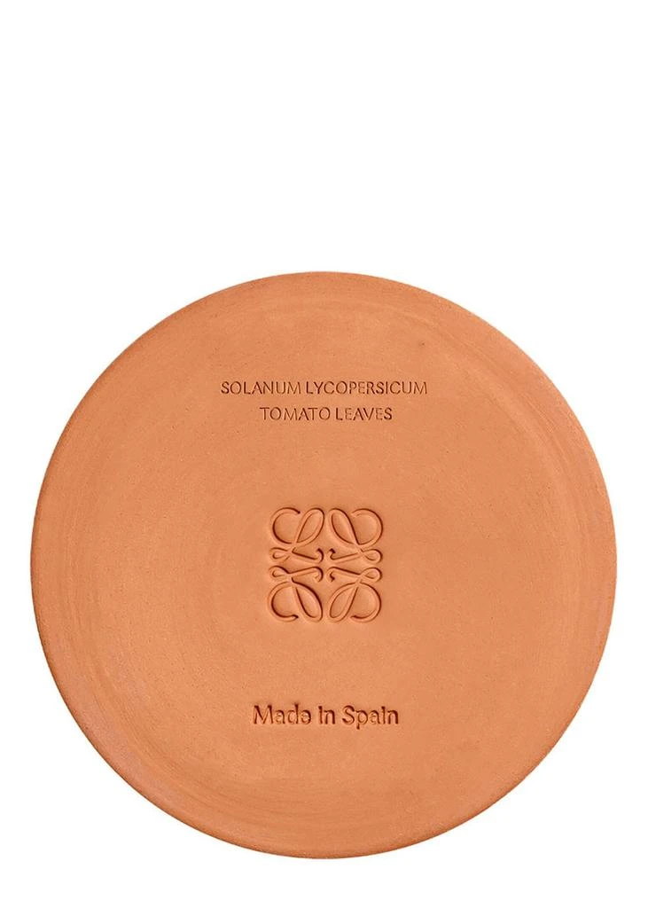 Loewe Tomato Leaves Candle - Medium 610g 4