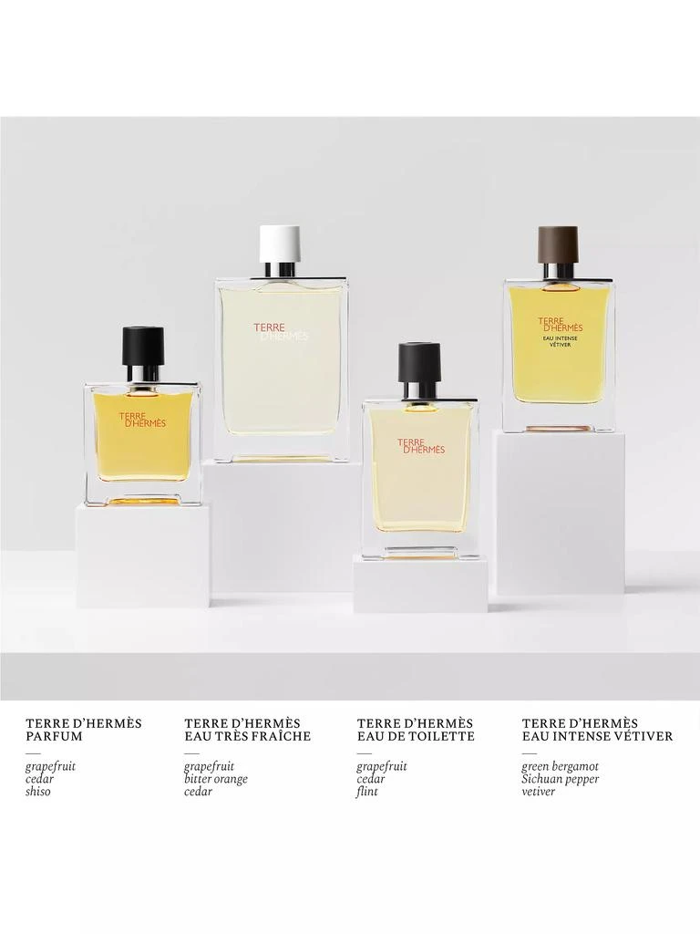 Hermes Terre D'Hermès Eau Intense Vetiver 5
