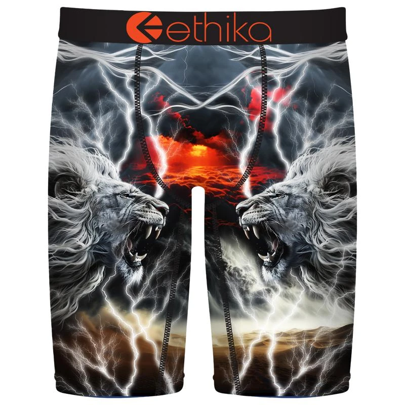 Ethika Ethika Graphic Briefs - Boys' Grade School 1