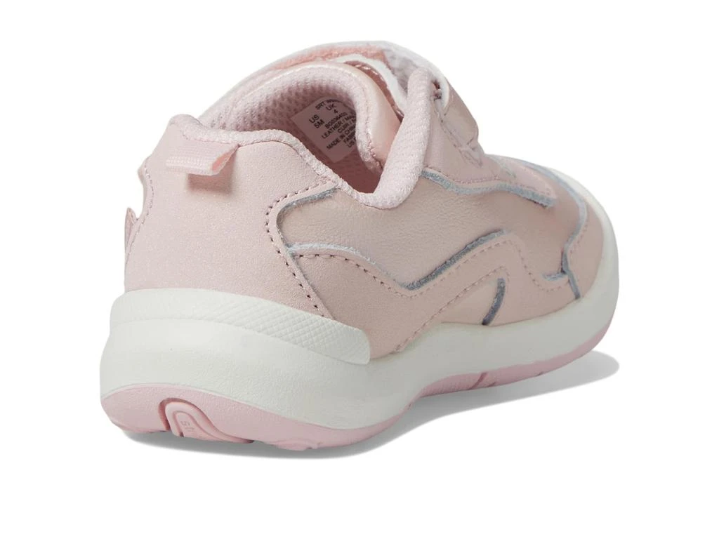 Stride Rite SRT WInslow 2.0 (Toddler) 5