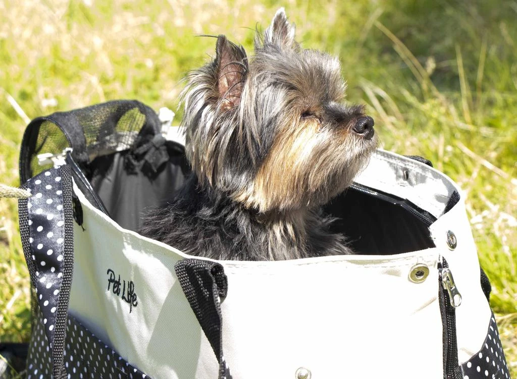 Pet Life 'Tote n' Boater' Trendy Spotted Designer Fashion Travel Pet Dog Carrier 4