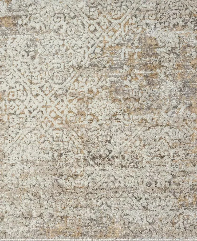 LR Home Bienne BIENA283 2
 x 10
 Runner Area Rug 4