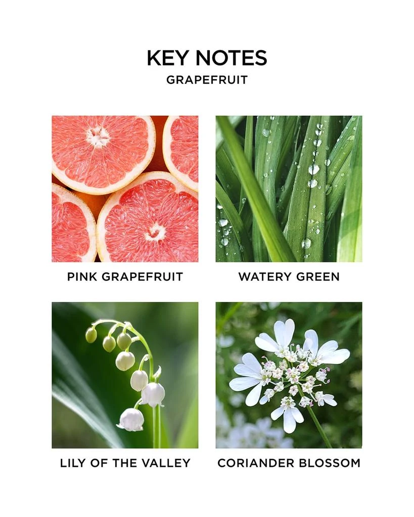 NEST New York 5.9 oz. Grapefruit Reed Diffuser 4
