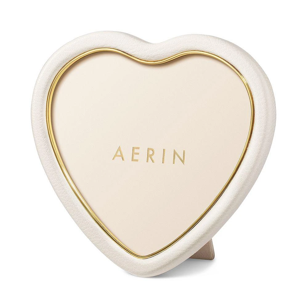 AERIN Heart Frame 1