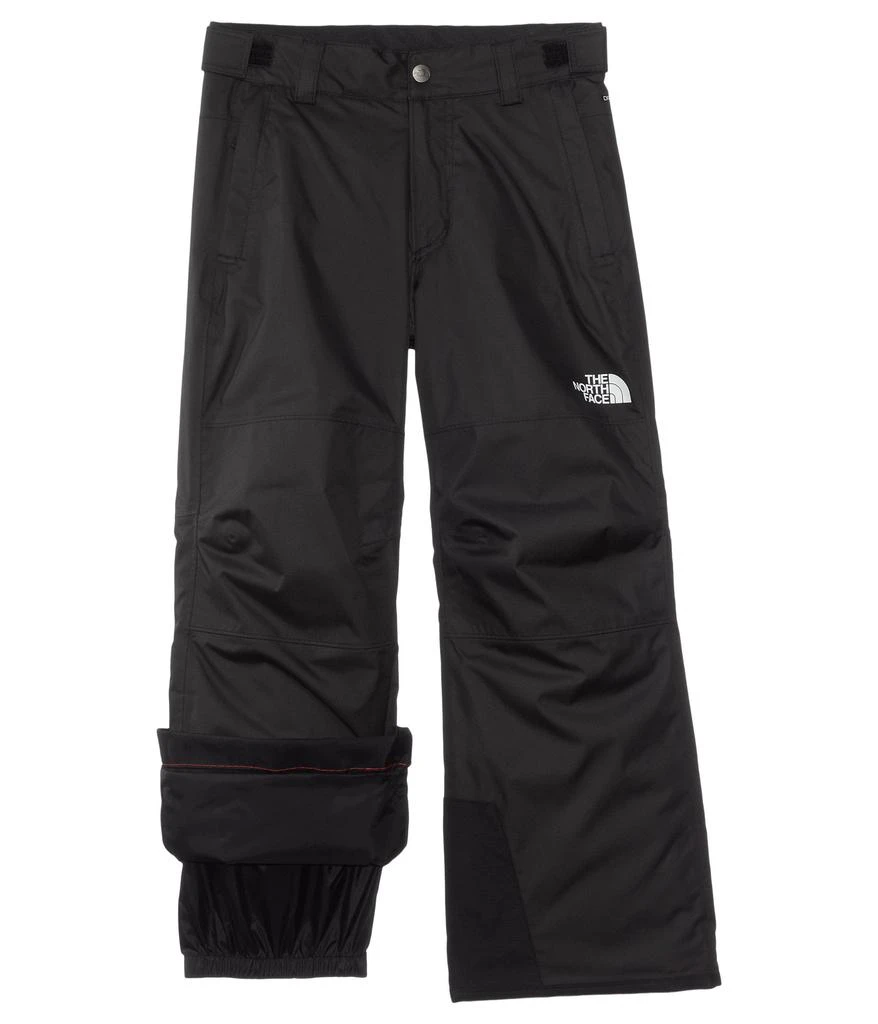 The North Face Freedom Insulated Pants (Little Kid/Big Kid) 1