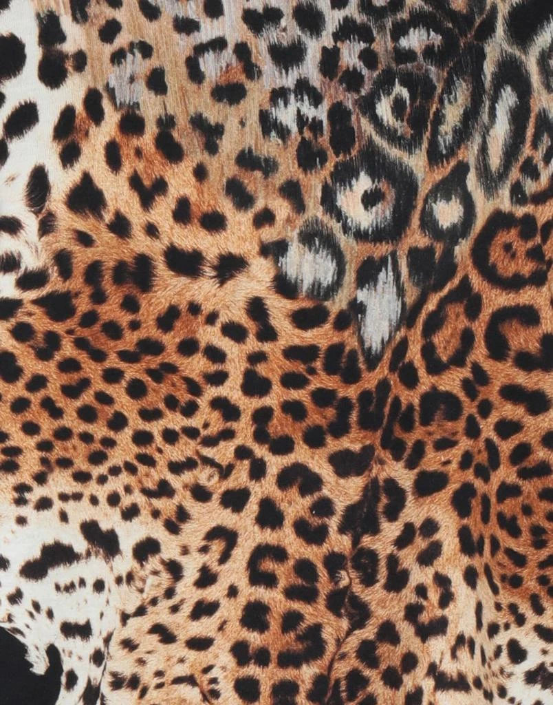 Roberto Cavalli T-shirt 4