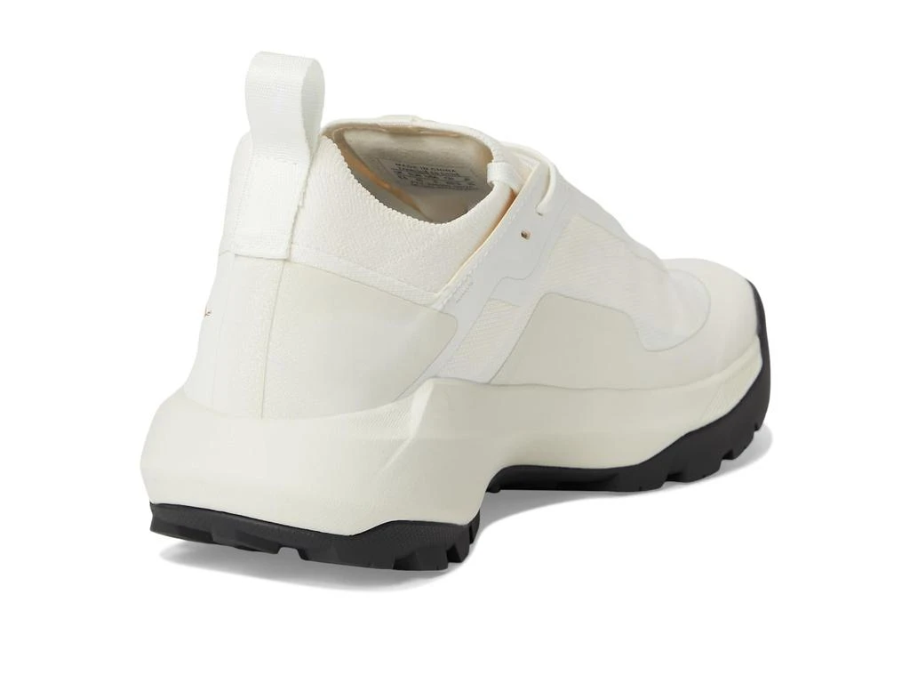 Arc'teryx Vertex Alpine GTX 5