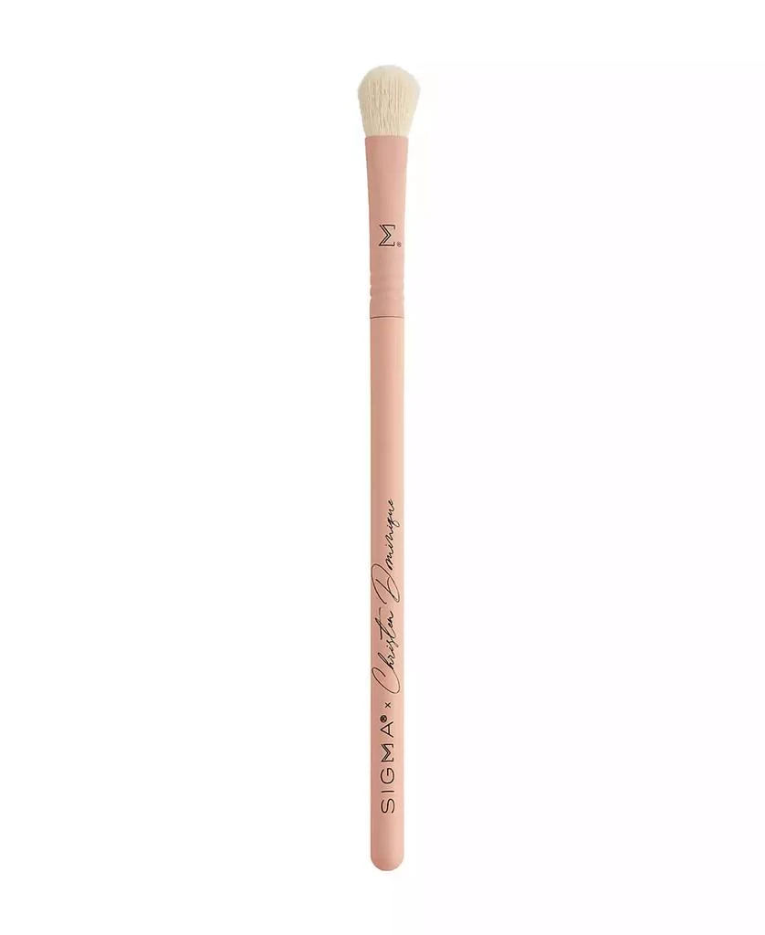 Sigma Beauty X Christen Dominique Brush Set 7