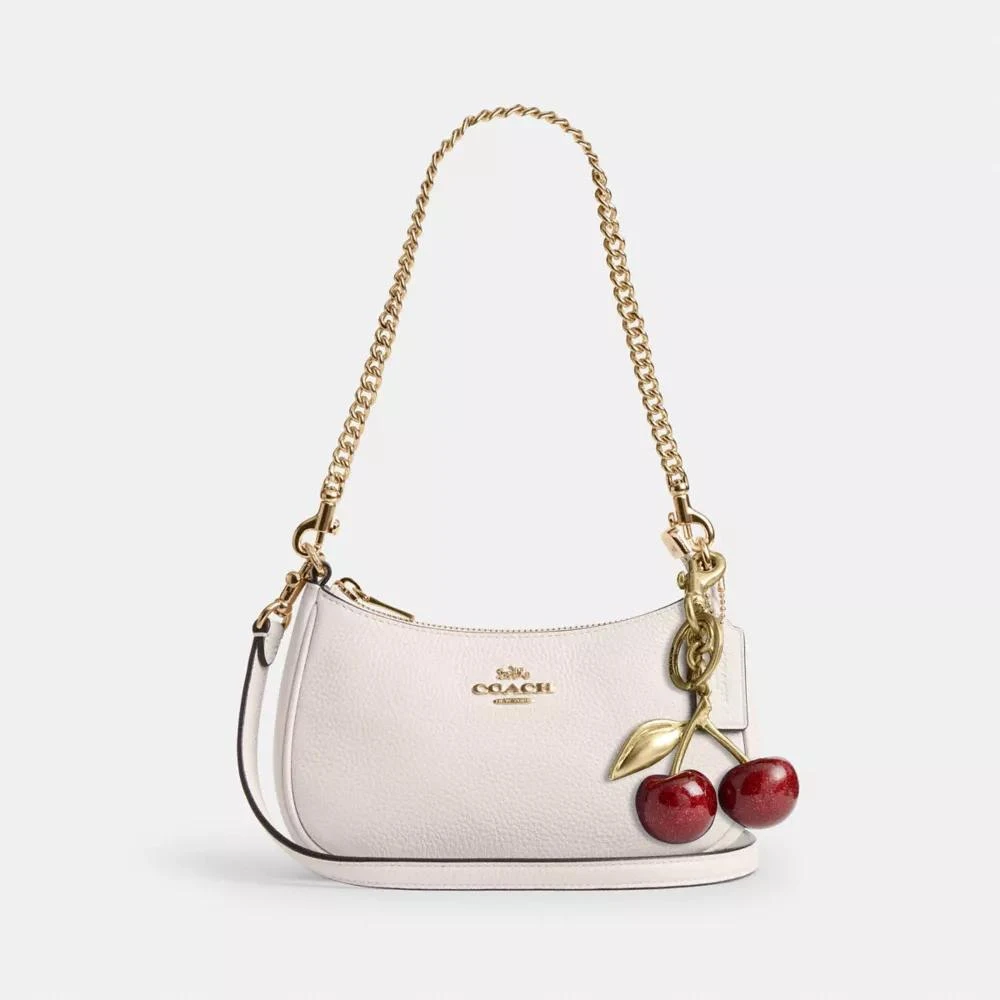 Coach Teri Mini Crossbody Bag 10