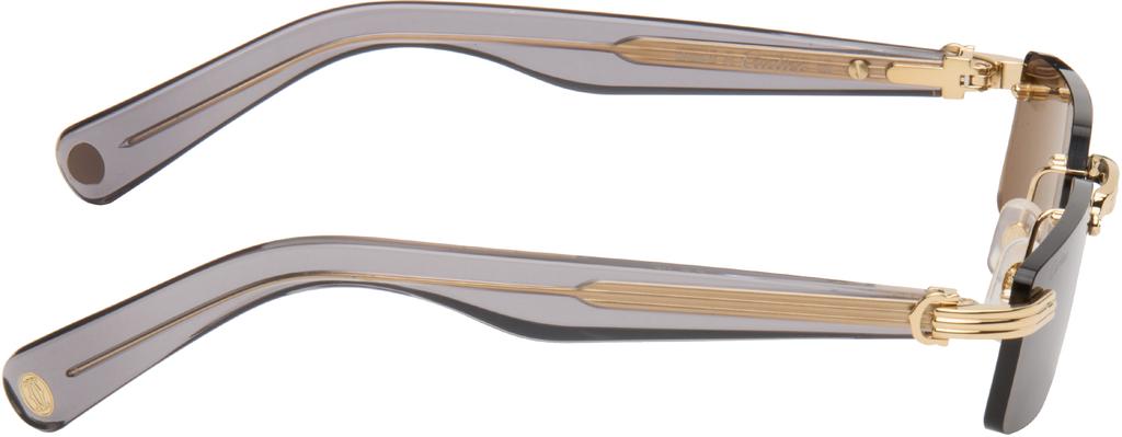 Cartier Gray CT0537S Sunglasses
