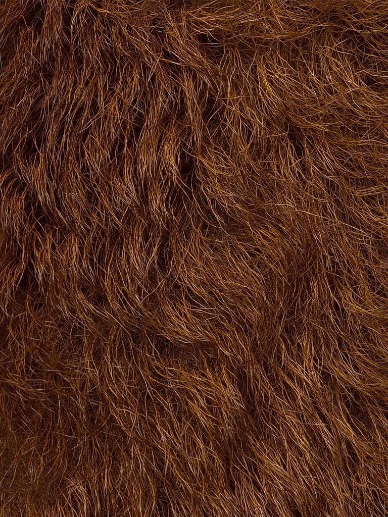 Prada Shearling Collar 3