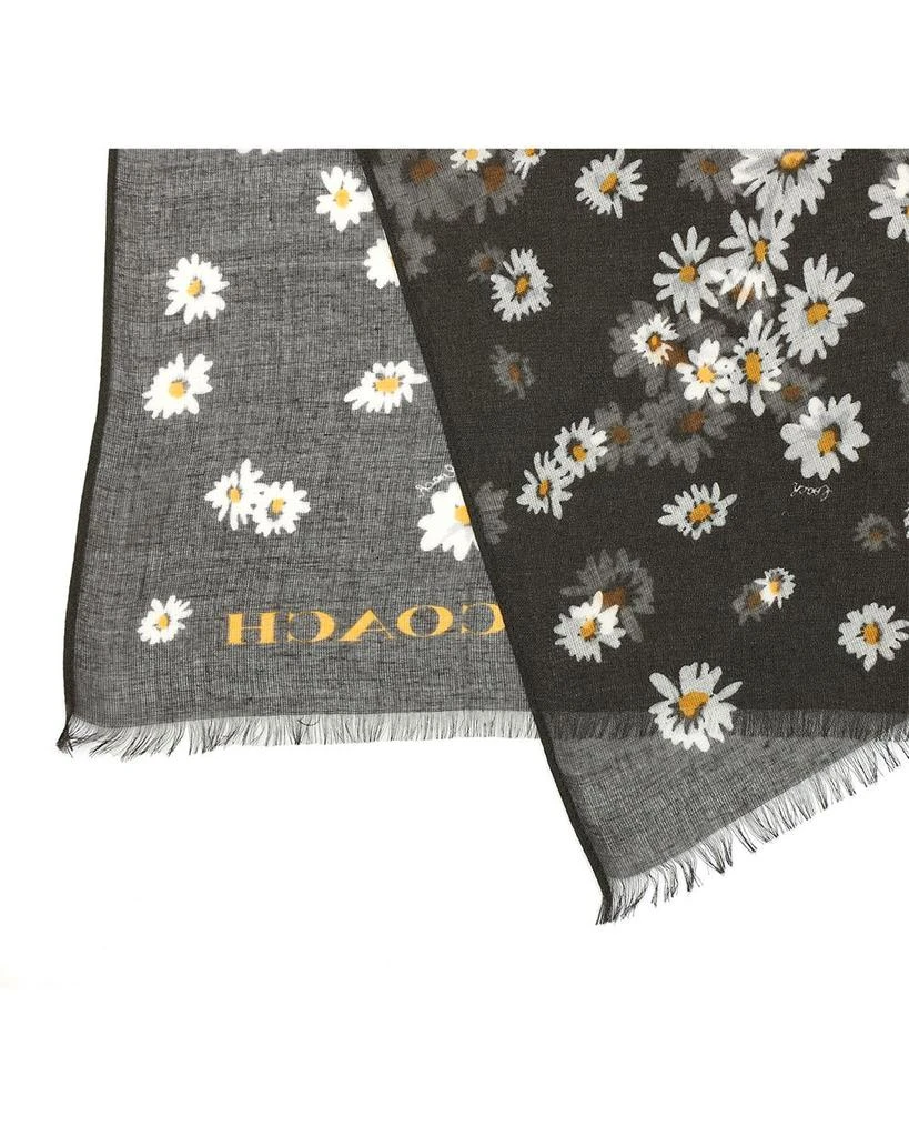 Coach Daisy Cluster Printed Scarf 4