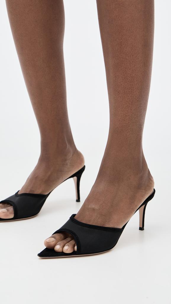 Gianvito Rossi Sienna Mules 70mm