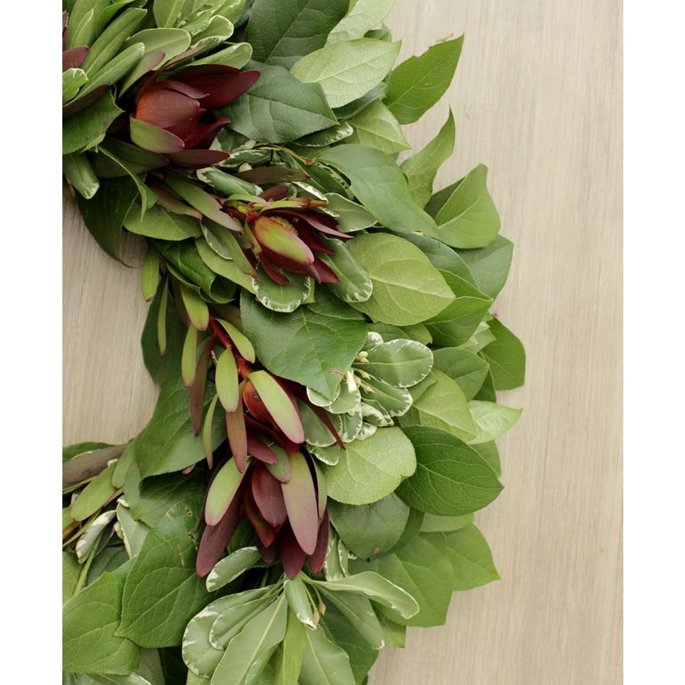 Magnolia Supply Co Fresh Lemon Leaf, Pittosporum and Safari Sunset Wreath, 20"