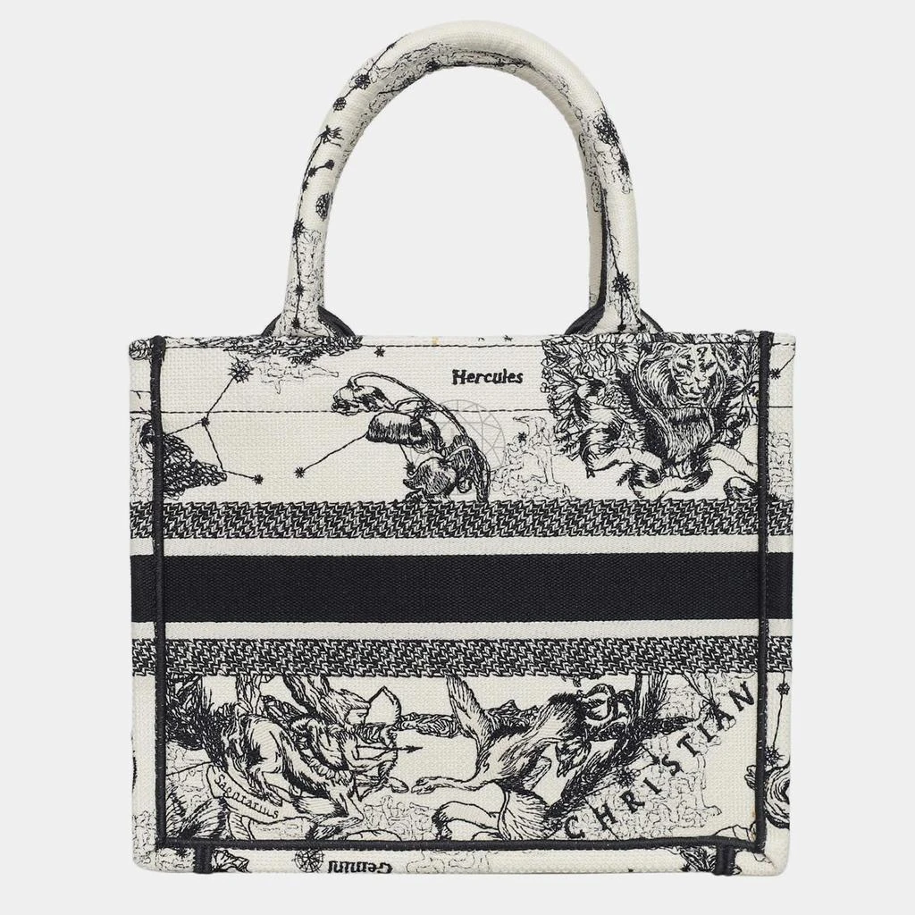 Dior Christian Dior Book Tote Bag 4