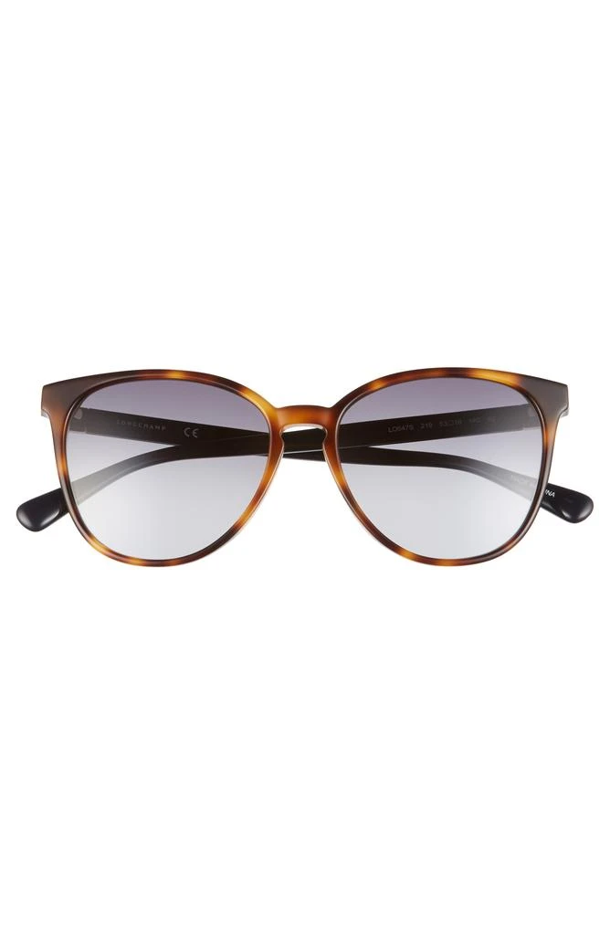 Longchamp Le Pliage 53mm Gradient Cat Eye Sunglasses 3